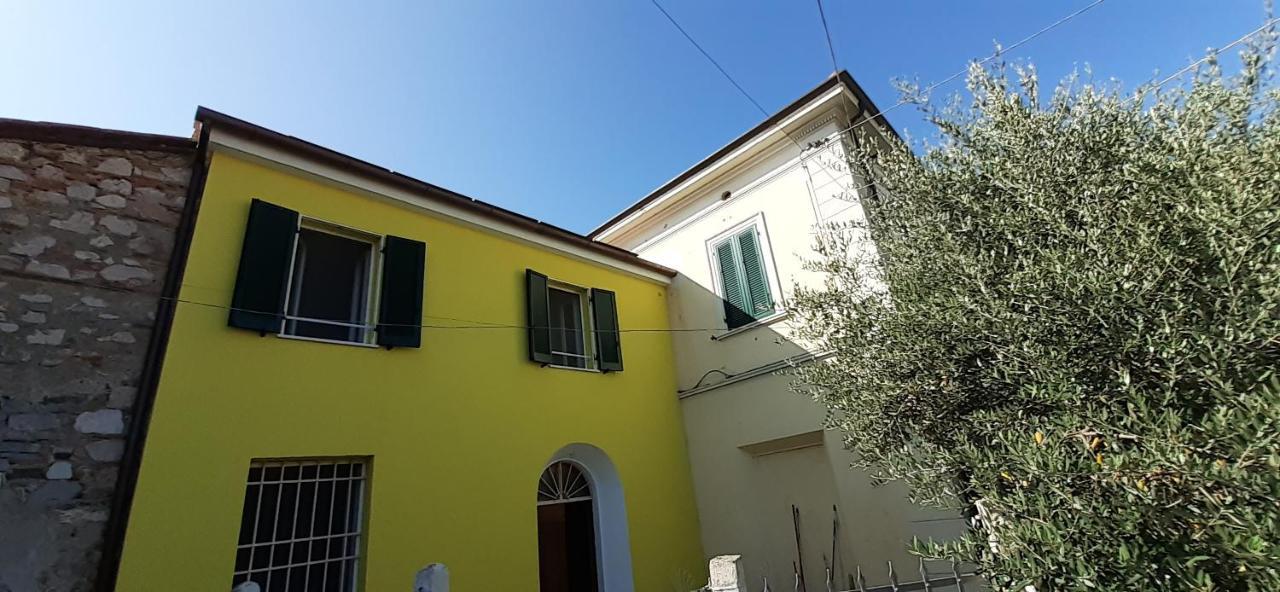 La Casa Gialla Del Ristoro Agricolo Vecchiano Villa Bagian luar foto