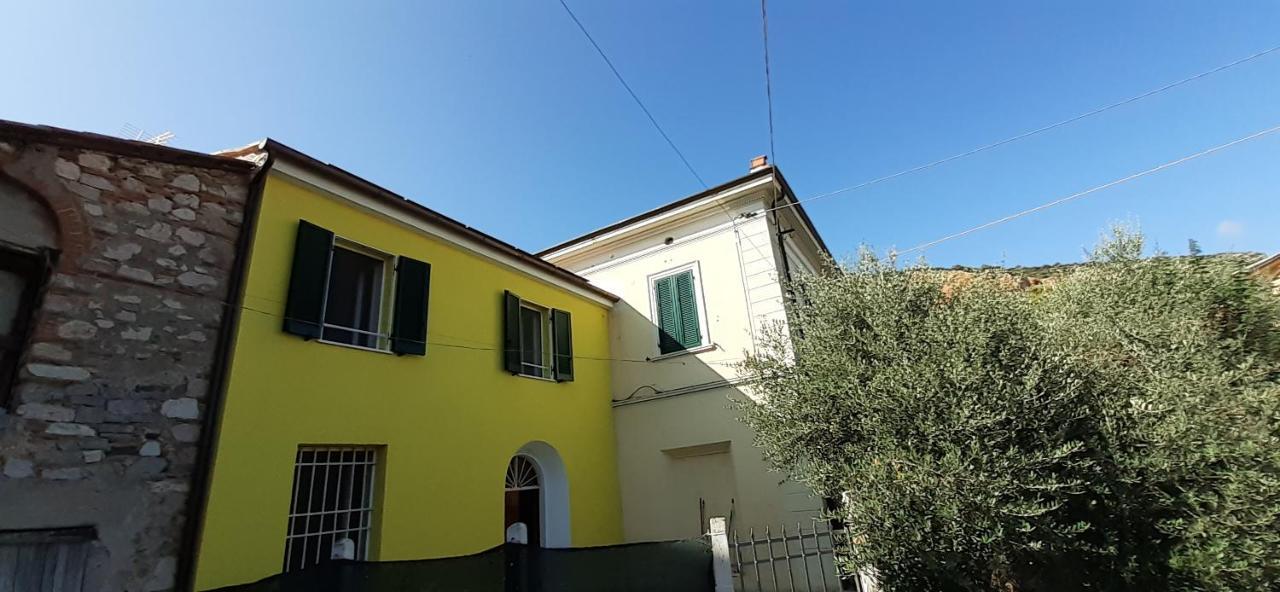 La Casa Gialla Del Ristoro Agricolo Vecchiano Villa Bagian luar foto